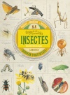 4Col.lecció de curiositats. Insectes