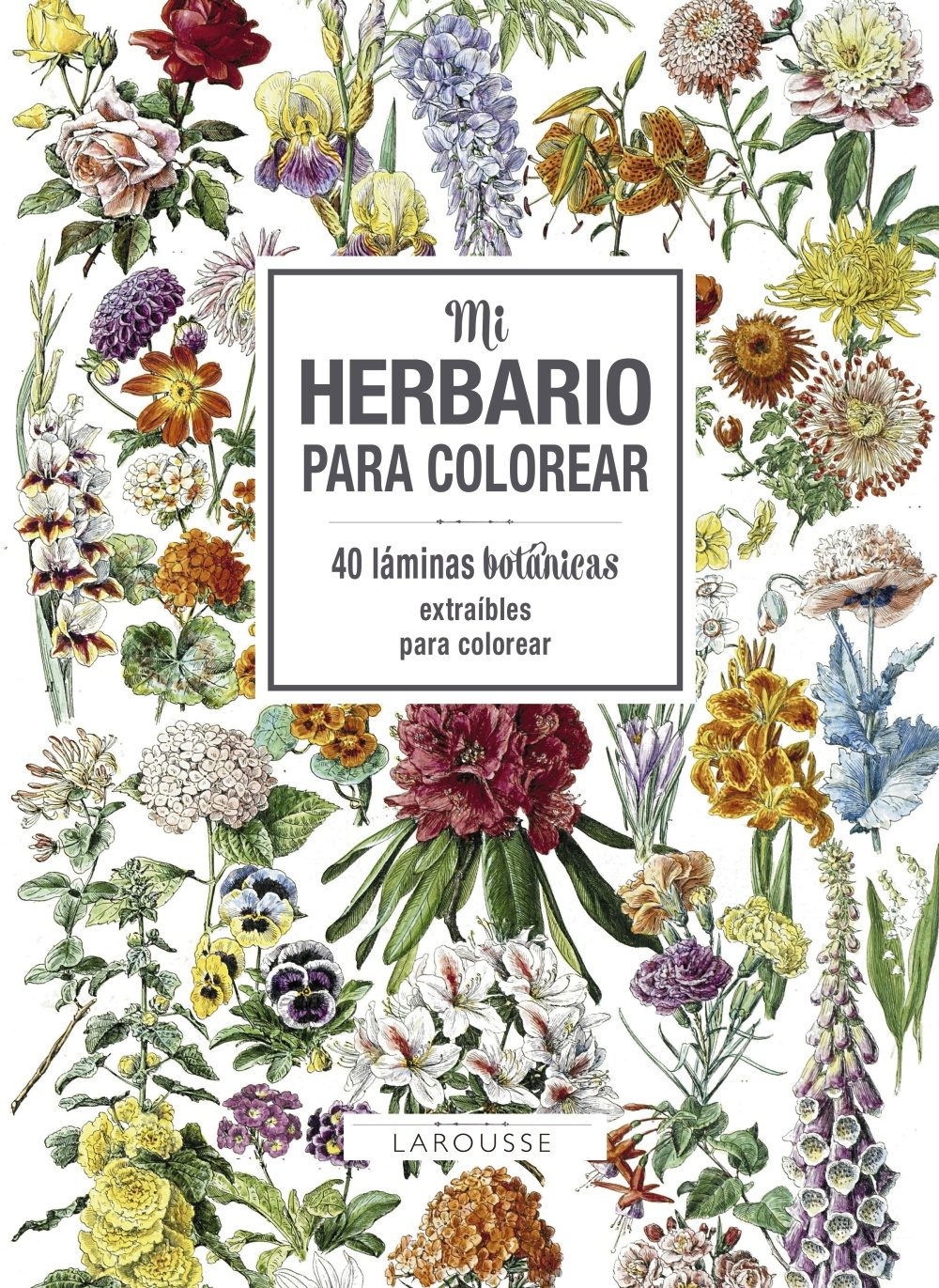 8Mi herbario para colorear