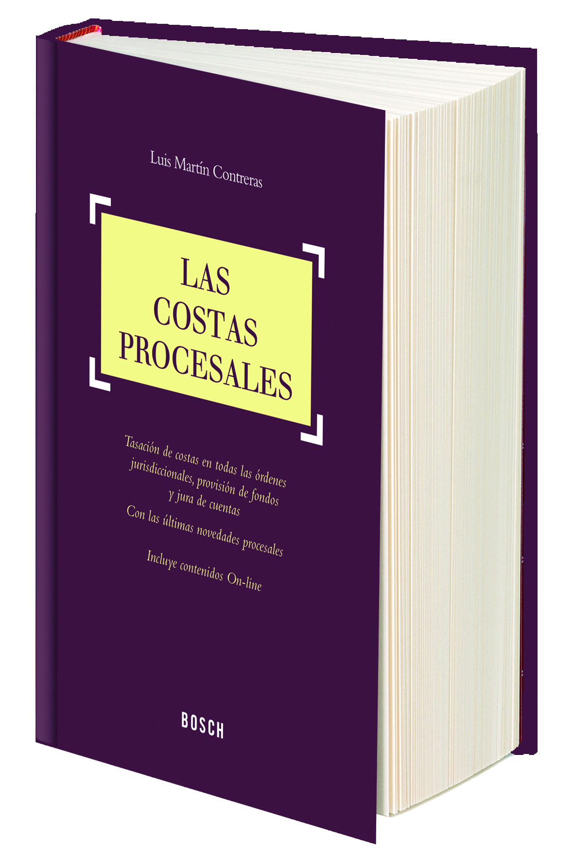 Las costas procesales   «aplicación teórica y práctica en los diferentes órdenes jurisdiccionales»