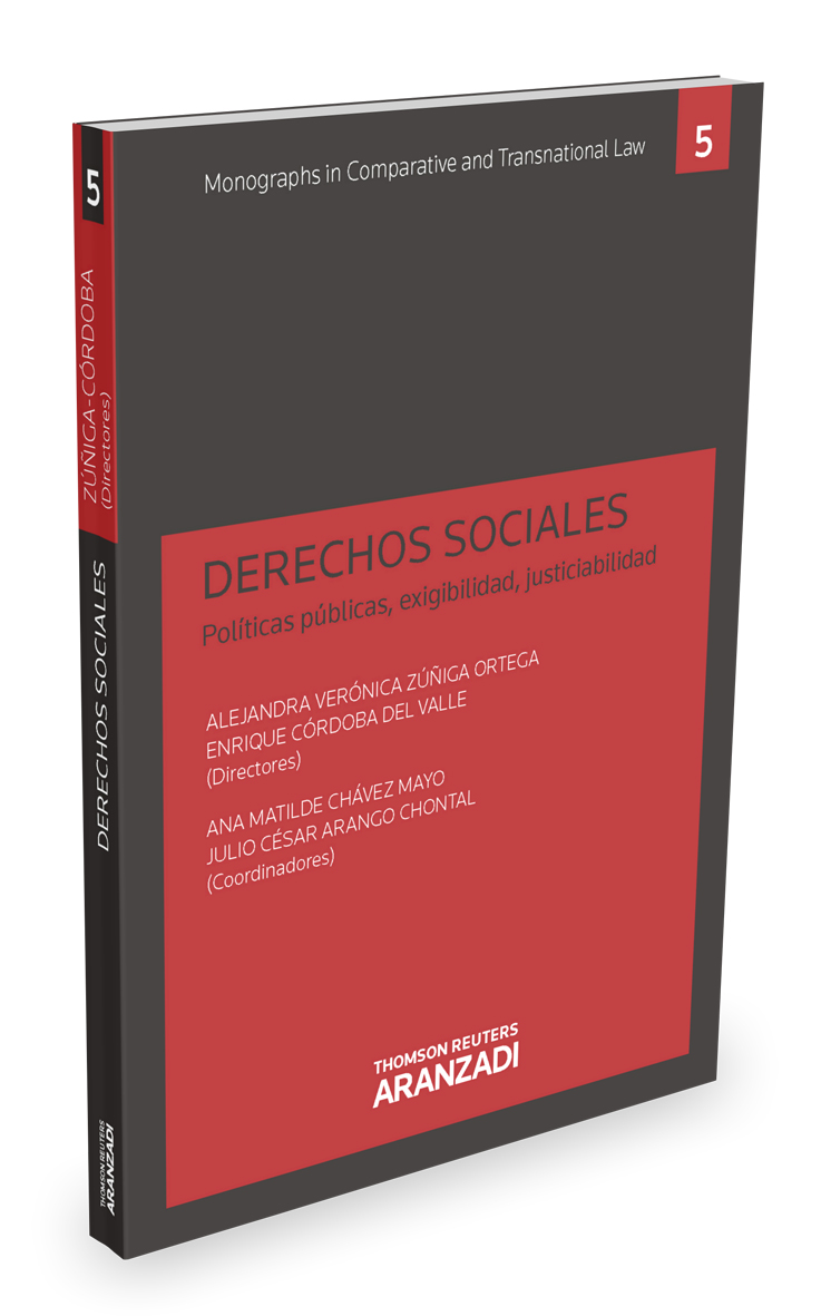 DERECHOS SOCIALES (POLITICAS PUBLICAS EXIGIBILIDAD JUSTICIABILIDAD)