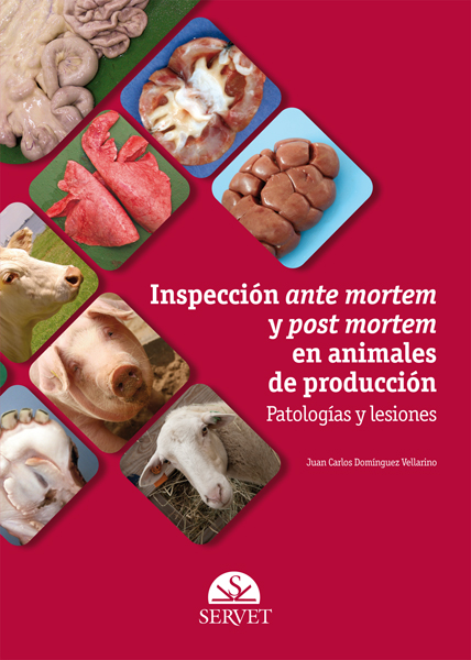 INSPECCION ANTE MORTEM Y POST MORTEM EN ANIMALES DE PRODUCCION