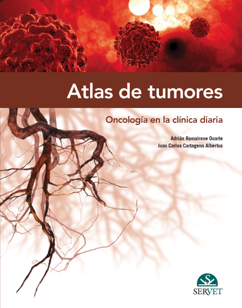 ATLAS DE TUMORES ONCOLOGIA EN LA CLINICA DIARIA