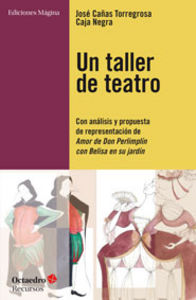 Un taller de teatro   «Con análisis y propuesta de presentación de Amor de Don Perlimplín con Belisa en su jardín»