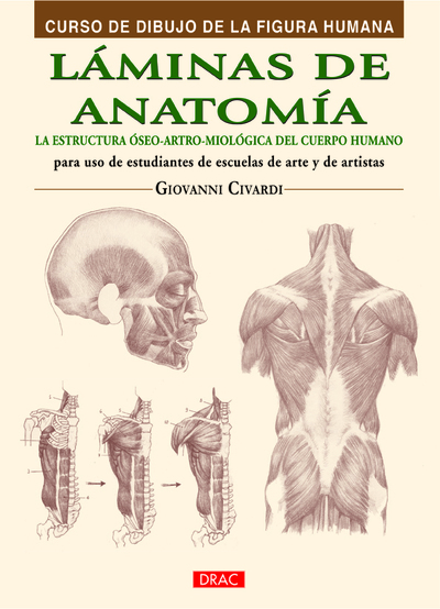 Láminas de anatomía   «La estructura óseo-artro-miológica del cuerpo humano»
