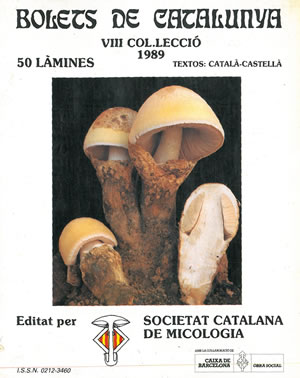 BOLETS DE CATALUNYA VIII COL.LECCIÓ. 1989