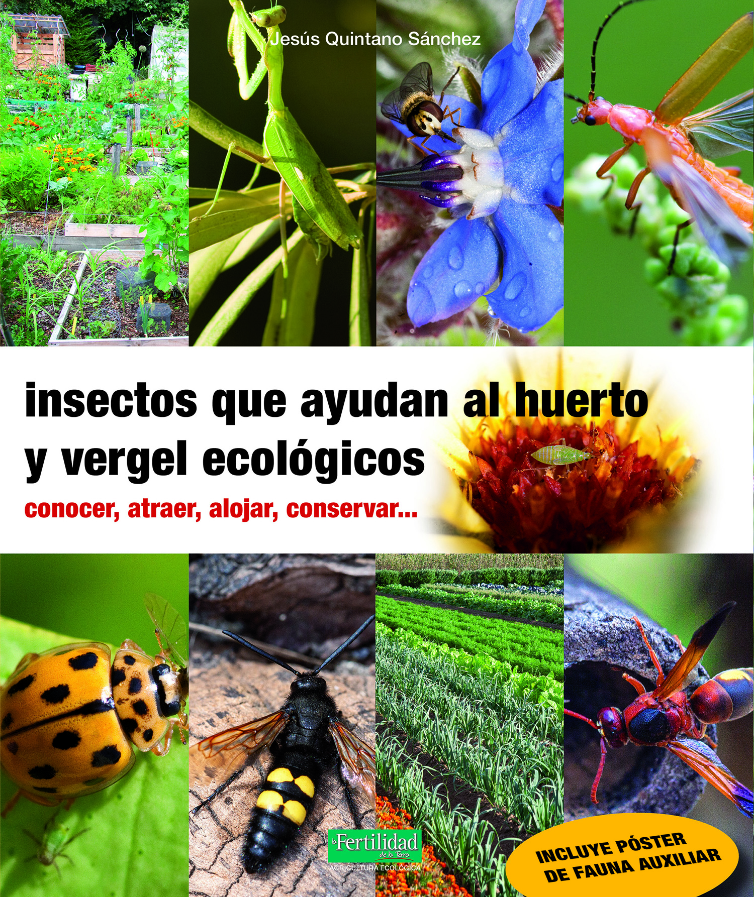 Insectos que ayudan al huerto y vergel ecológicos   «Conocer, atraer, alojar, conservar...» (9788412183061)