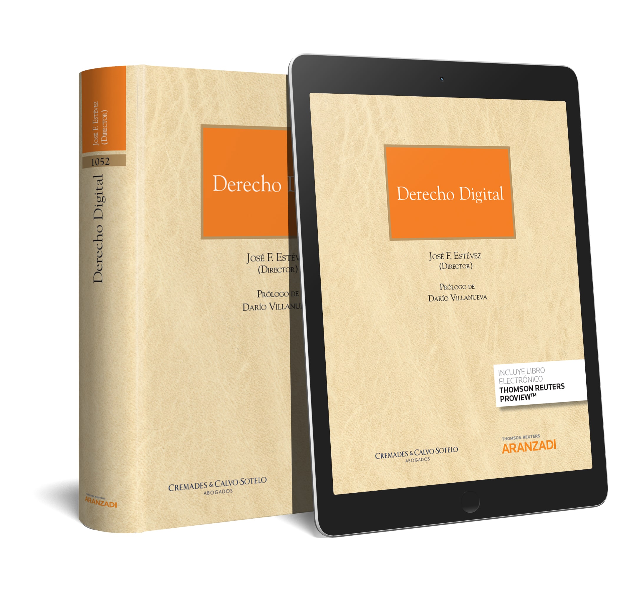 Derecho Digital (Papel + e-book) (9788413082219)