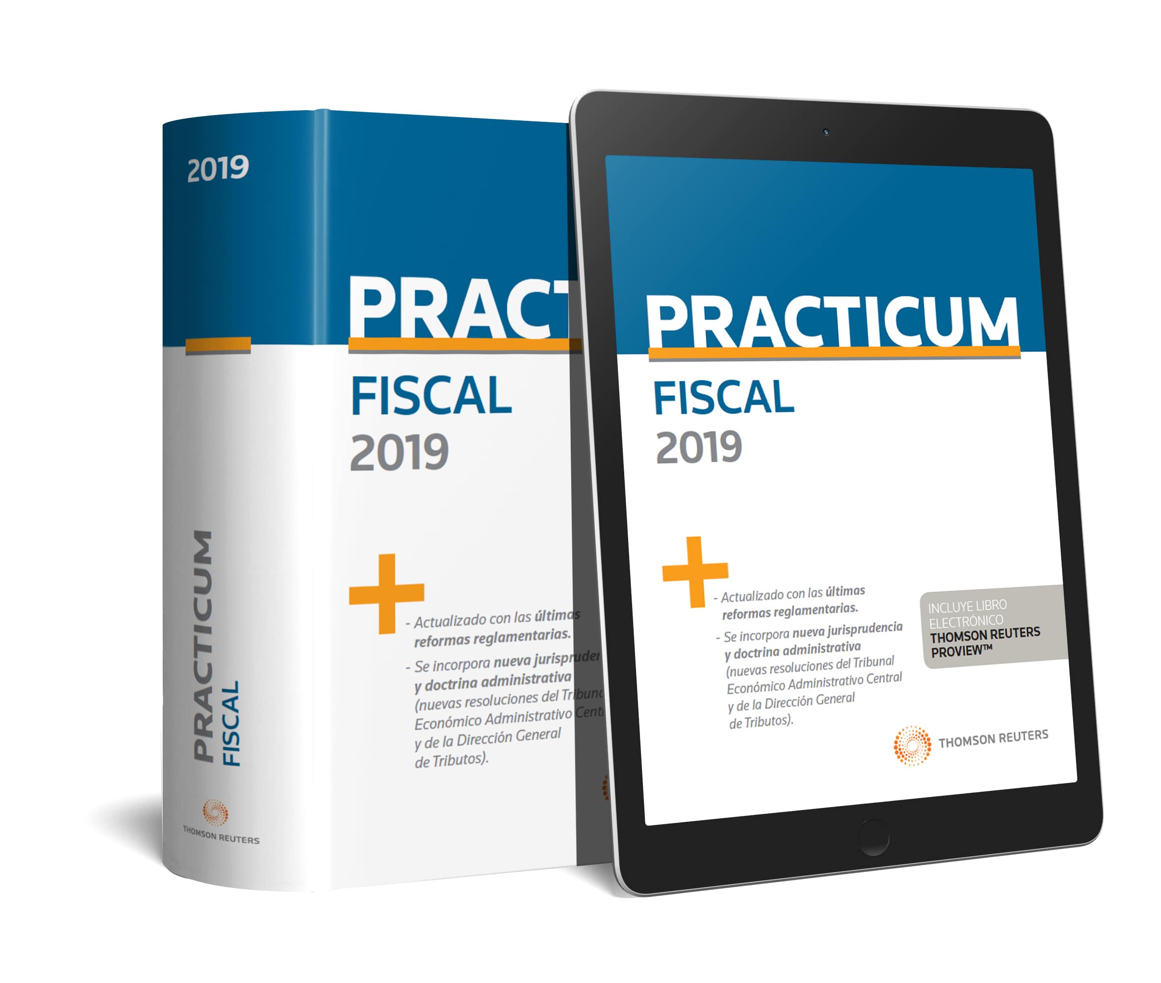 Practicum Fiscal 2019 (Papel + e-book) (9788413092171)