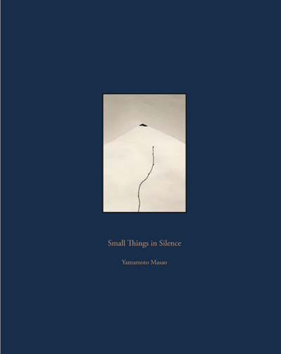 Small Things in Silence (9788415118831)