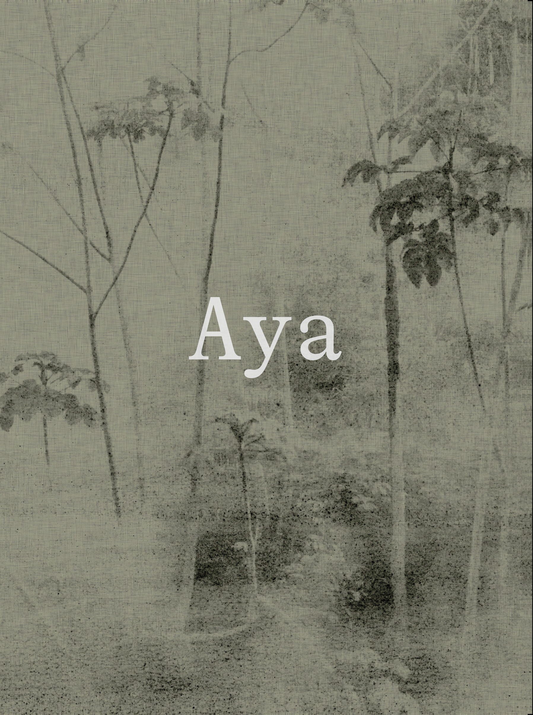 Aya (9788417975036)