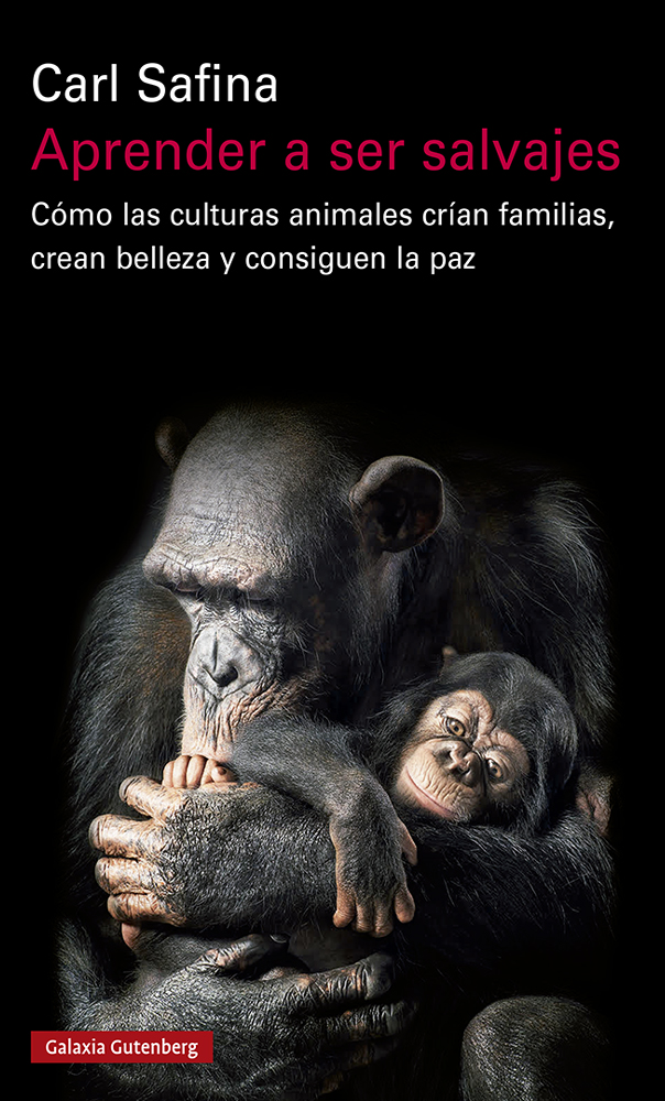 Aprender a ser salvajes   «Cómo las culturas animales crían familias, crean belleza y consiguen la paz»