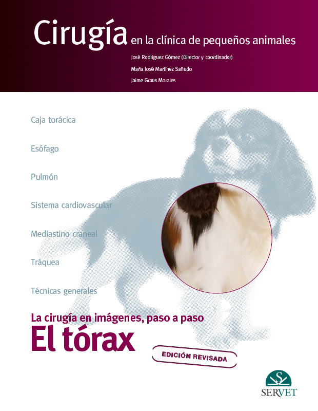 El tórax. Cirugía en la clínica de pequeños animales (9788418498763)