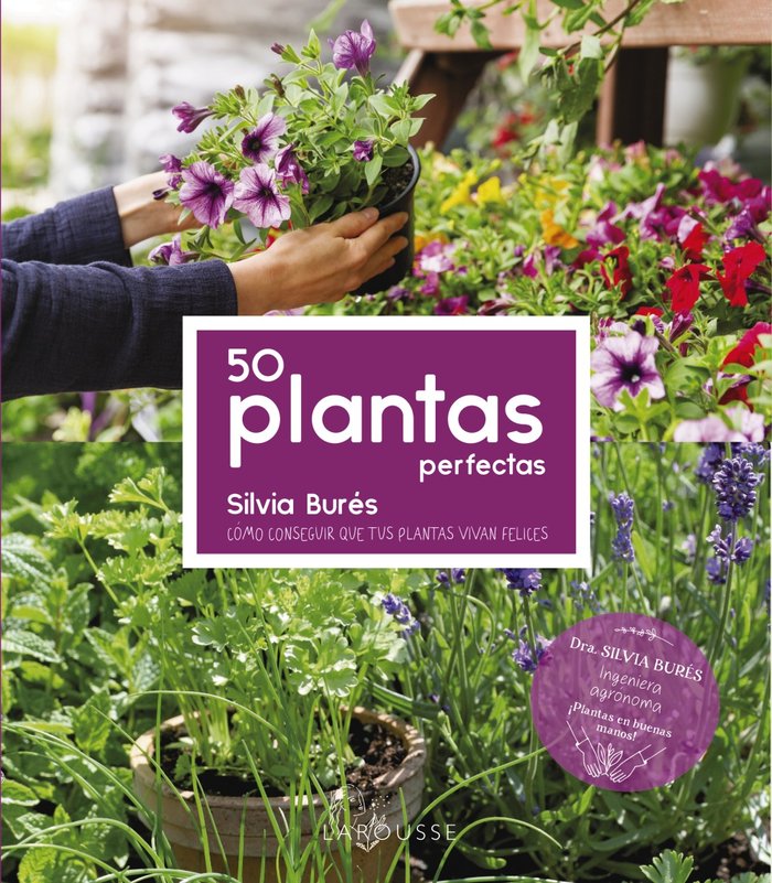 50 Plantas perfectas (9788418882487)