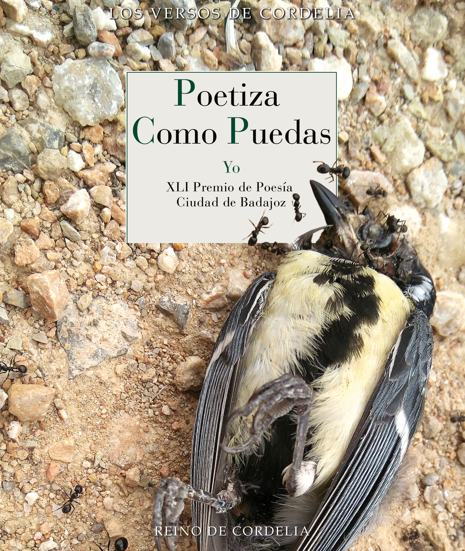 Poetiza como puedas   «XLI Premio de Poesía Ciudad de Badajoz» (9788419124555)