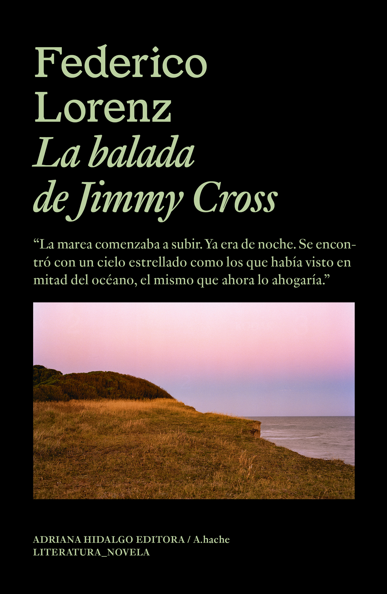 La balada de Jimmy Cross (9788419208491)