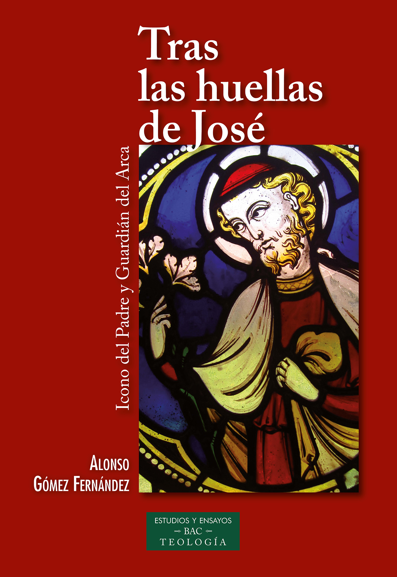 Tras las huellas de José : Icono del Padre y Guardián del Arca (9788422021827)