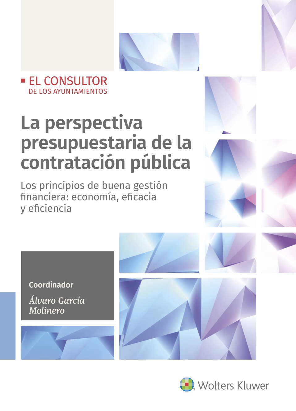 La perspectiva presupuestaria de la contratación pública   «Los principios de buena gestión financiera: economía, eficacia y eficiencia» (9788470528354)