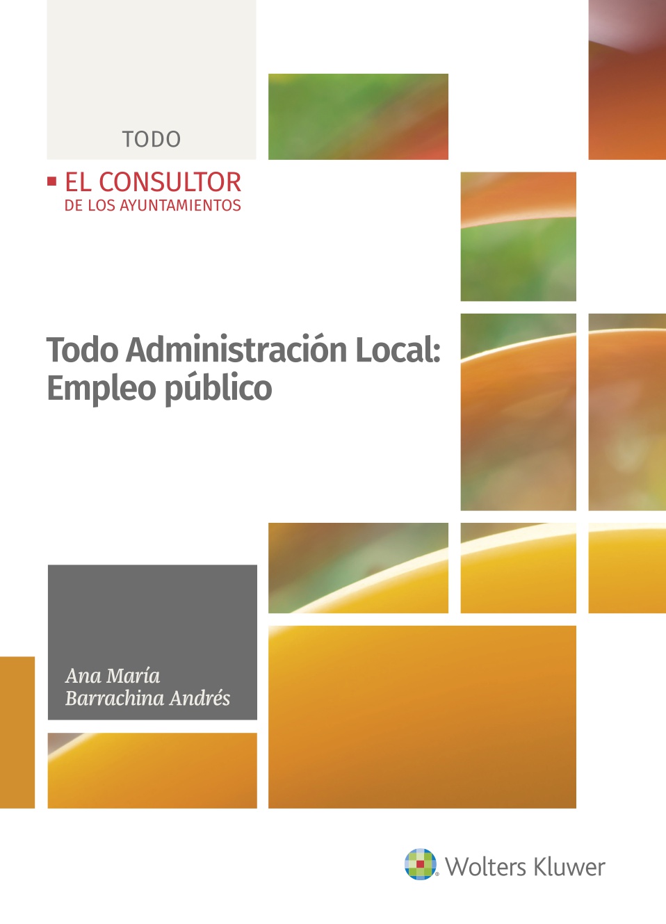 Todo Administración Local: Empleo público (9788470528903)