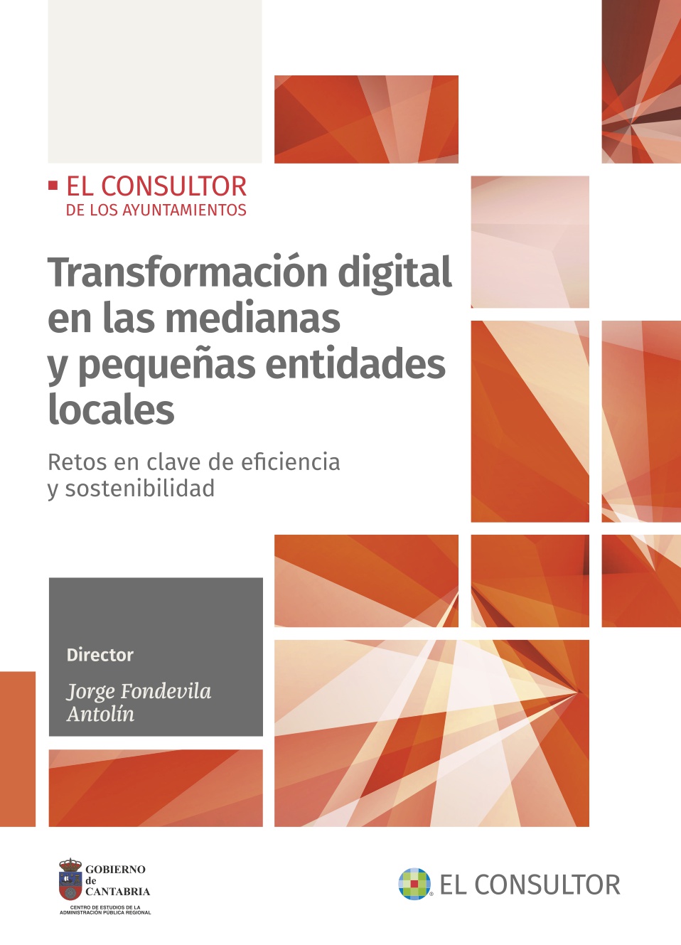 Transformación digital en las medianas y pequeñas entidades locales   «Retos en clave de eficiencia y sostenibilidad» (9788470529047)
