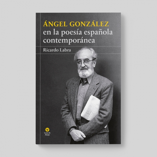 Ángel González en la poesía española contemporánea (9788486375249)