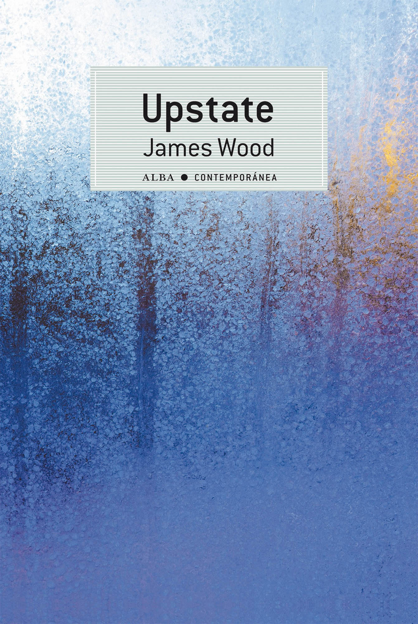 Upstate (9788490655962)