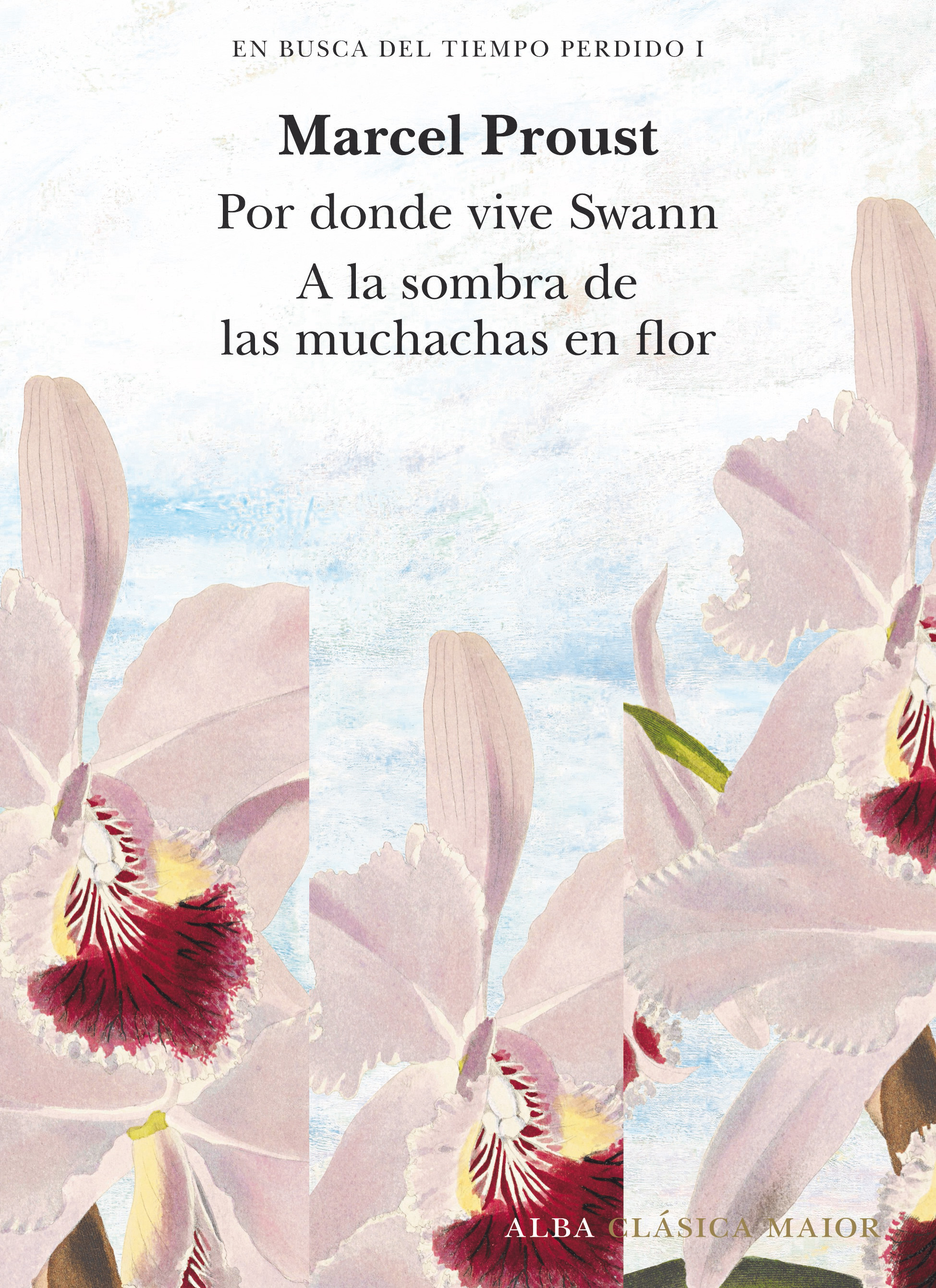 En busca del tiempo perdido, vol. 1   «Por donde vive Swan (Tomo I) y A la sombra de las muchachas en flor (Tomo II)» (9788490659229)