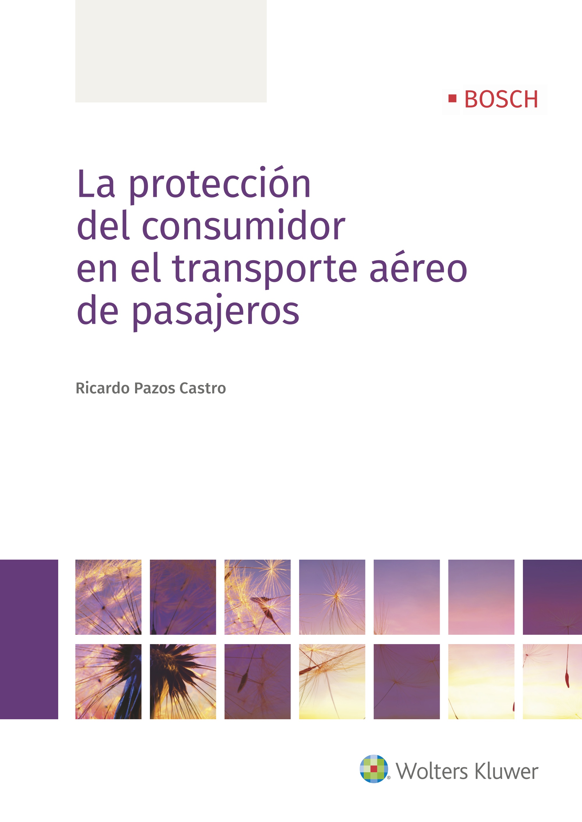 PROTECCION DEL CONSUMIDOR EN TRANSPORTE AEREO DE PASAJEROS