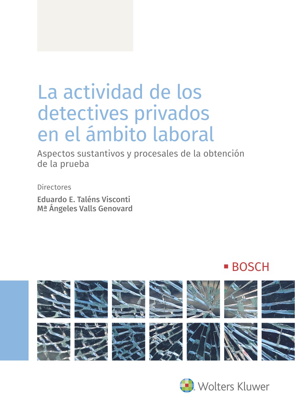 La actividad de los detectives privados en el ámbito laboral   «Aspectos sustantivos y procesales de la obtención de la prueba»