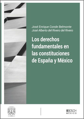 Los derechos fundamentales en las constituciones de España y México (9788490906699)