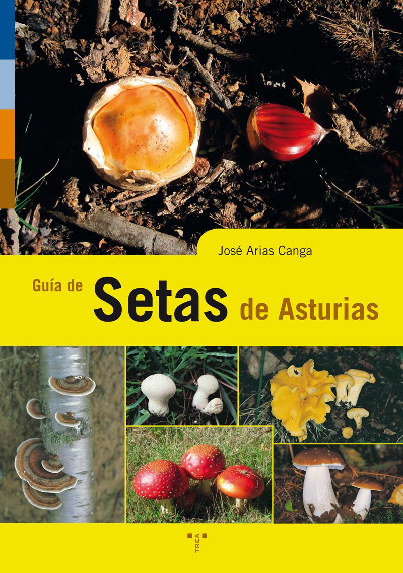 Guía de setas de Asturias (9788497048545)