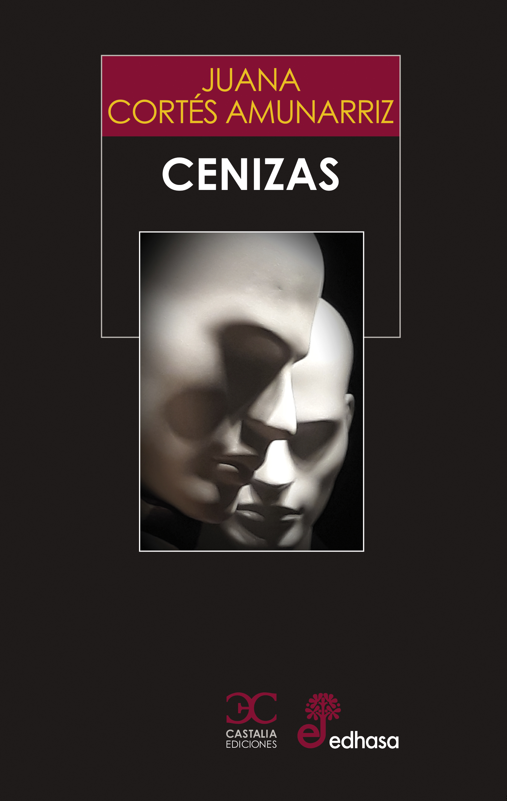 Cenizas (9788497408790)