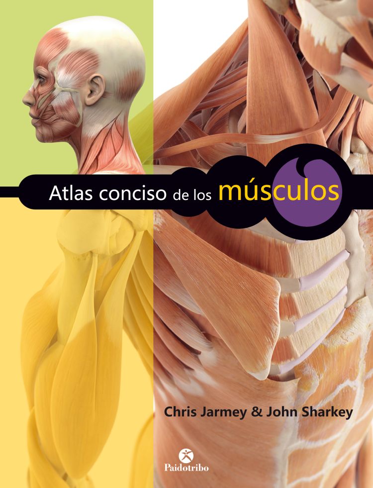 Atlas conciso de los músculos (Color) (9788499106045)
