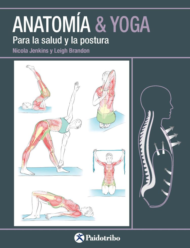 Anatomía & Yoga Para la salud y la postura (9788499106618)